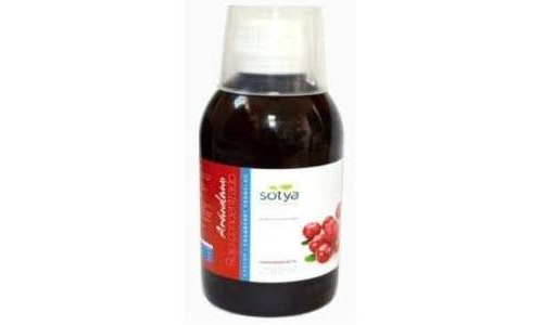 Arandano rojo conc.jarabe 250 ml (sotya)