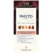 Phyto tinte color nº 6.66